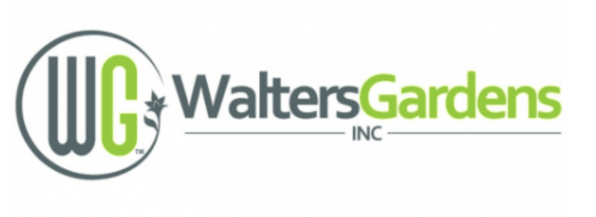 Spring Show theme carnival